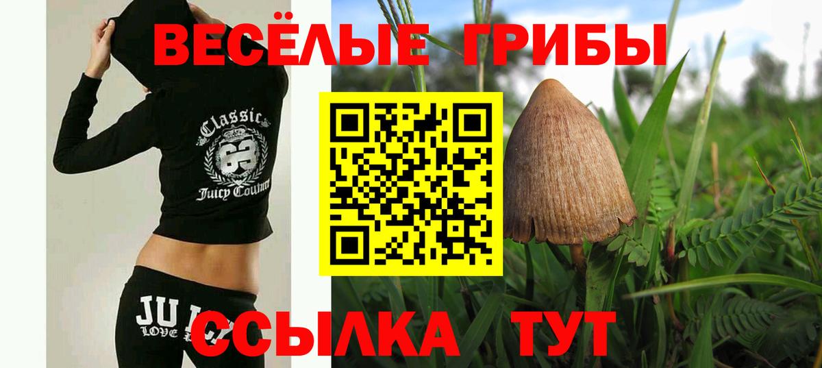 Южноуральск  Галлюциногенные грибы мухоморы  Псилоцибиновые грибы Magic Shrooms  Вход с VPN 